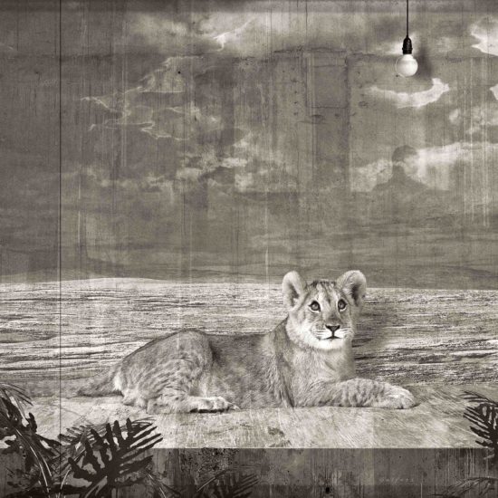 Jan Gulfoss Lionceau dans une vitrine et ampoule Photography